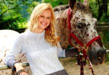 Sommerlicher Damen-Pullover im Mustermix