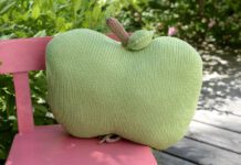 Fruchtiges Apfel-Kissen
