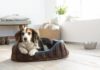 Korb für Hunde, Katzen und andere Haustiere