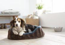 Korb für Hunde, Katzen und andere Haustiere